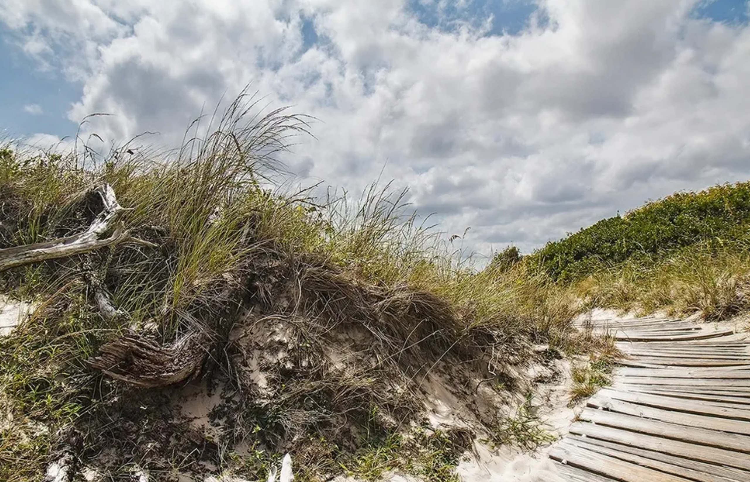 Sandy dunes with grass under a cloudy sky beside a wooden walkway.